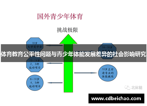 体育教育公平性问题与青少年体能发展差异的社会影响研究